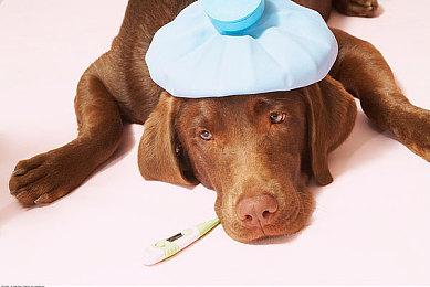 冒险RPG《梅格与怪物》上线Steam页面 支持简繁体中文